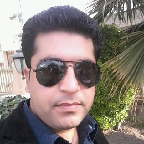 Developer